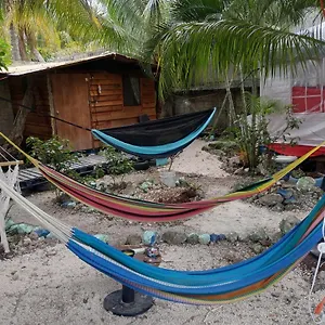 cabaa-sustentable-cozumel.allrivieramayahotels.com/